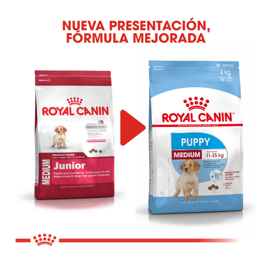 Royal Canin Medium Puppy pienso para cachorros Kiwoko